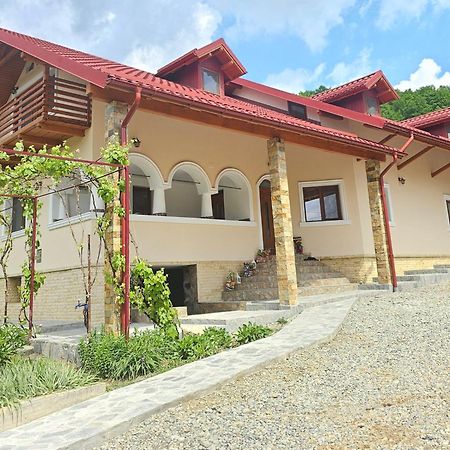 Casa Hera Călimăneşti エクステリア 写真