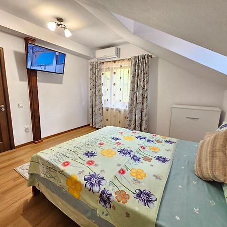 Casa Hera Călimăneşti エクステリア 写真