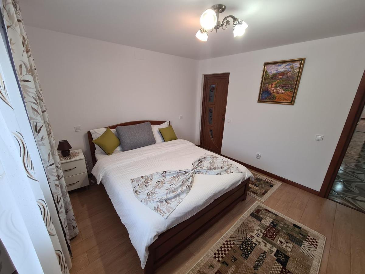 Casa Hera Călimăneşti エクステリア 写真