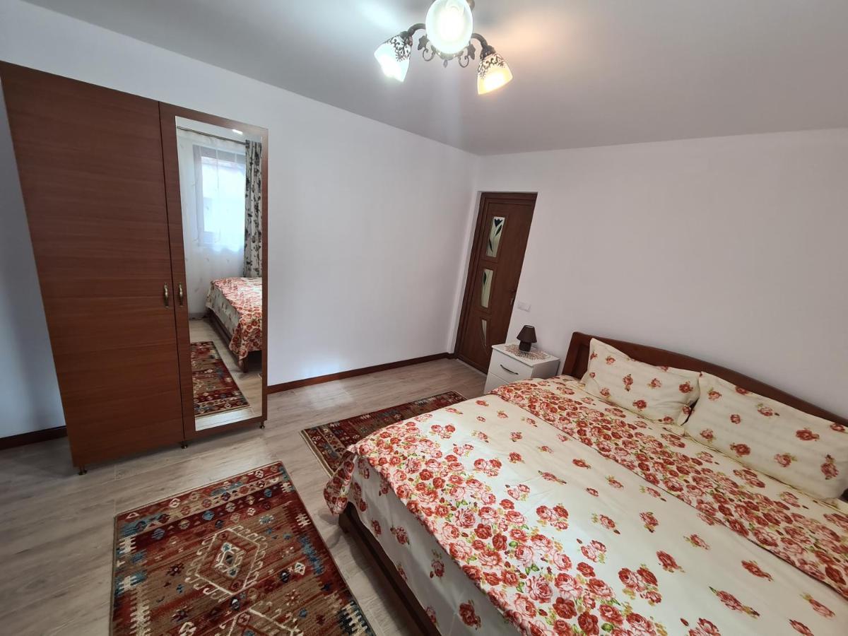 Casa Hera Călimăneşti エクステリア 写真