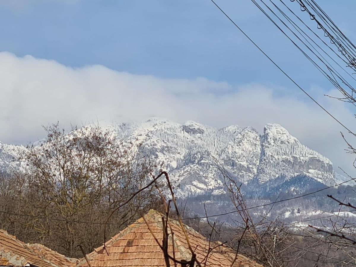 Casa Hera Călimăneşti エクステリア 写真