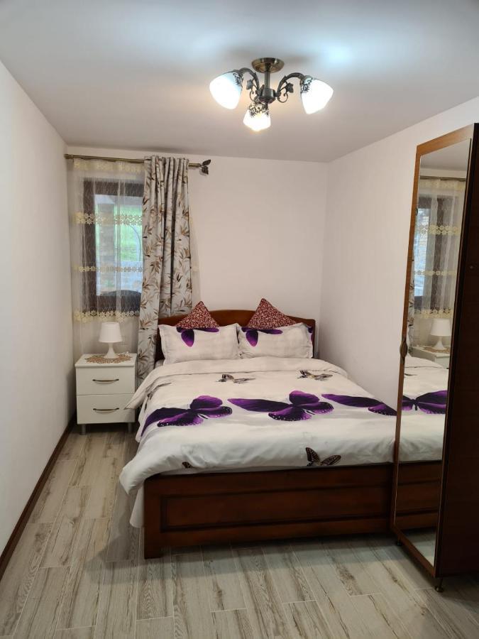 Casa Hera Călimăneşti エクステリア 写真