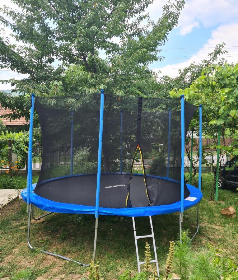 Casa Hera Călimăneşti エクステリア 写真