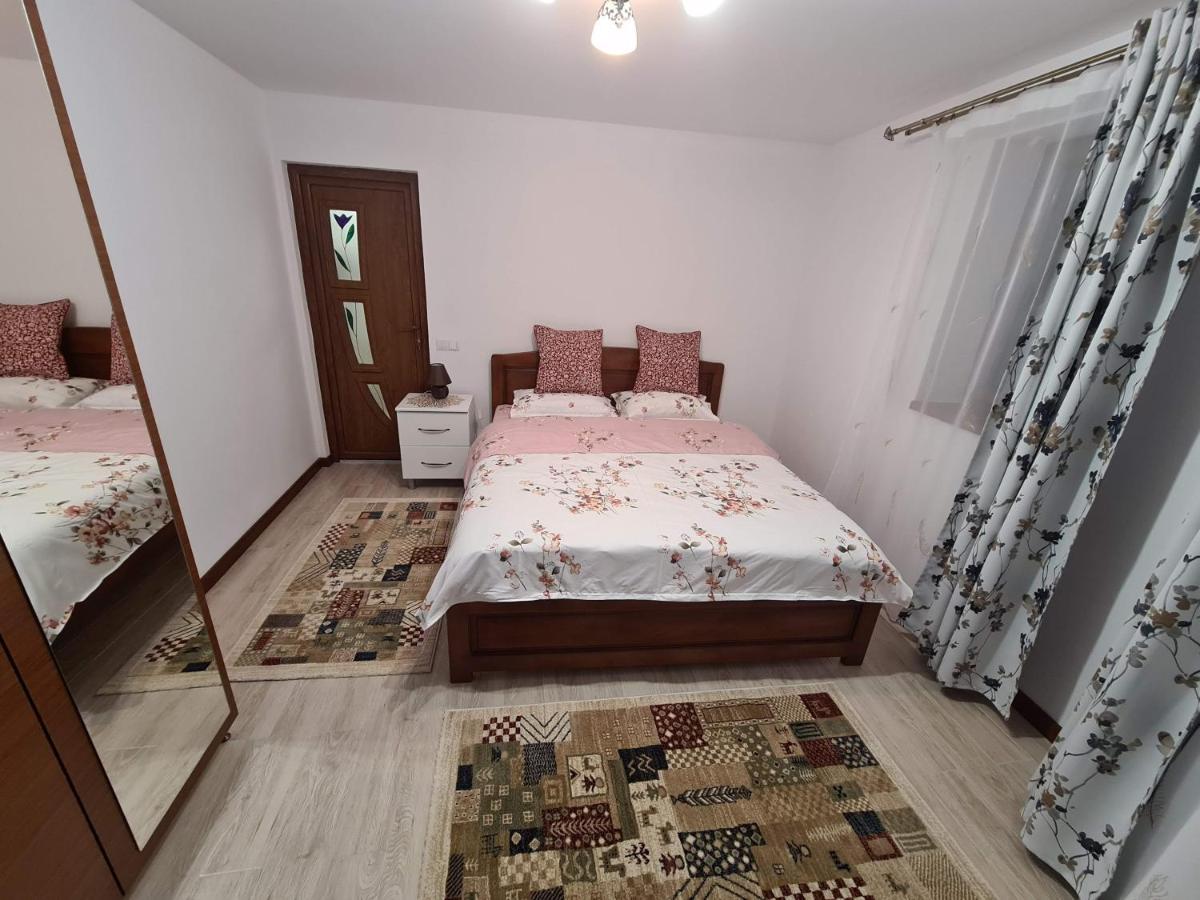 Casa Hera Călimăneşti エクステリア 写真