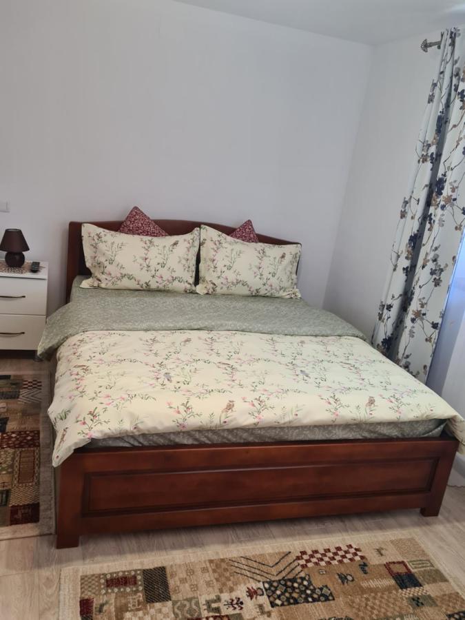 Casa Hera Călimăneşti エクステリア 写真
