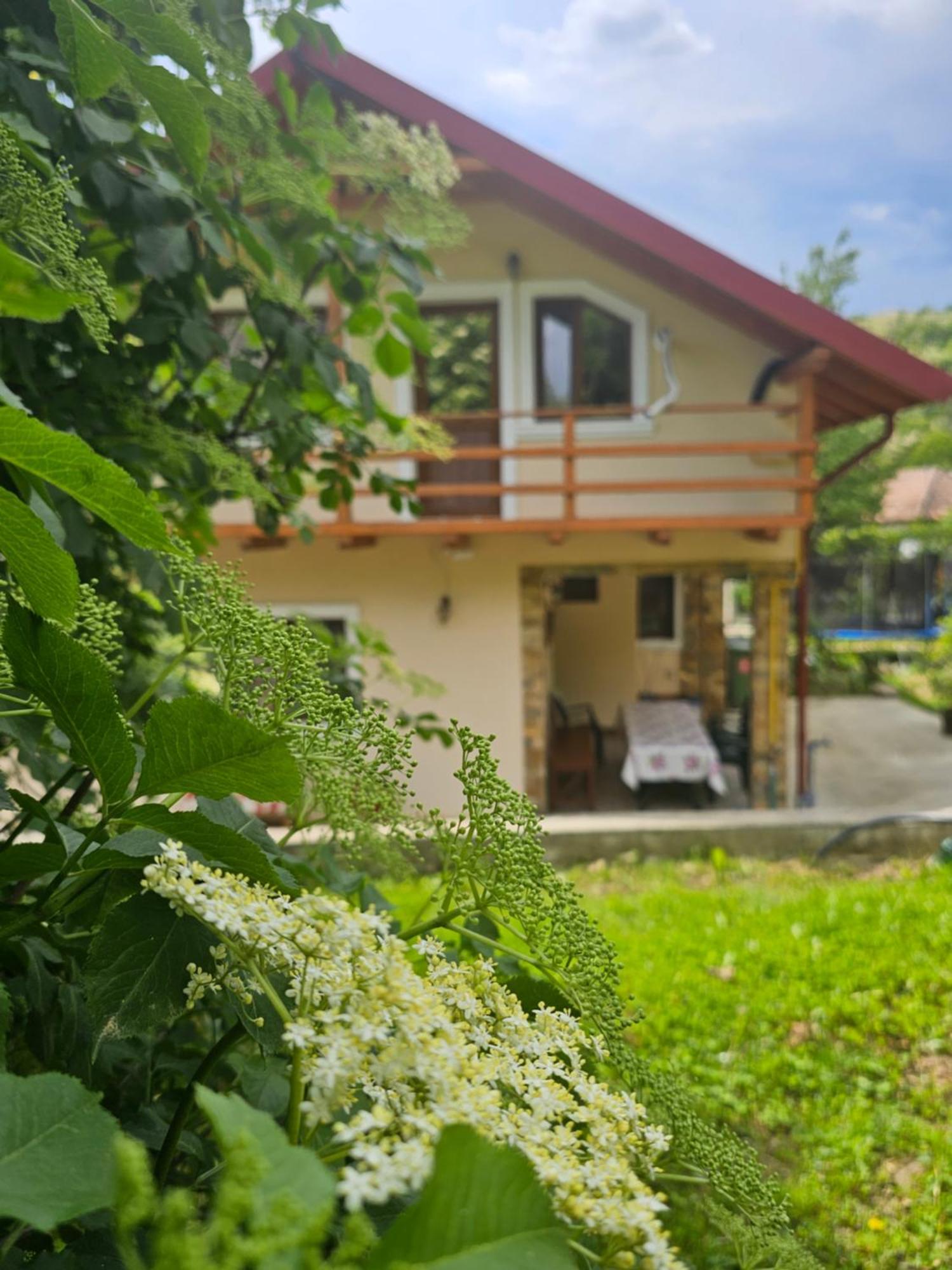 Casa Hera Călimăneşti エクステリア 写真