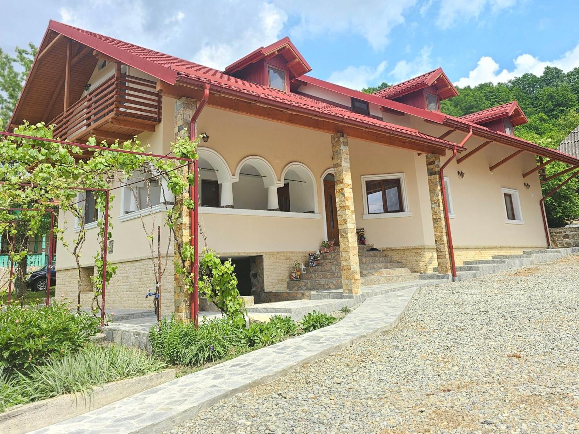 Casa Hera Călimăneşti エクステリア 写真