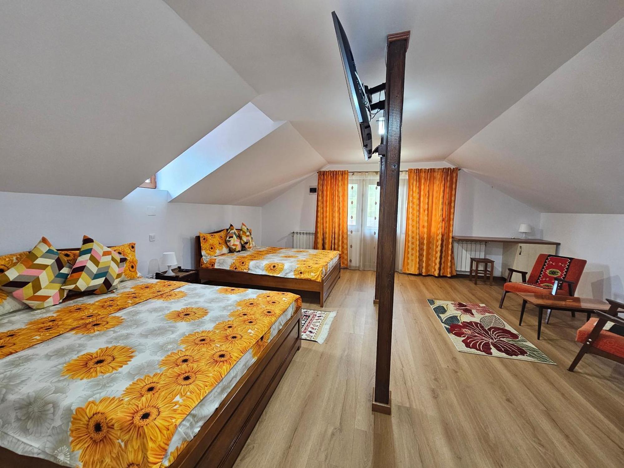 Casa Hera Călimăneşti エクステリア 写真